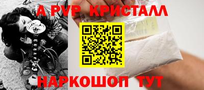 крисы Камышлов