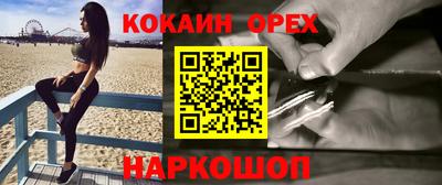 крисы Камышлов