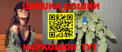 крисы Камышлов