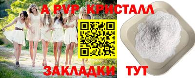 крисы Камышлов