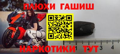 крисы Камышлов