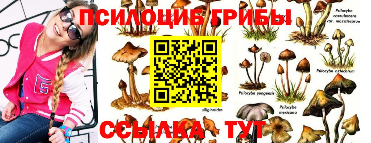 Псилоцибиновые грибы прущие грибы  Вход с VPN  Арзамас  Галлюциногенные грибы мухоморы 