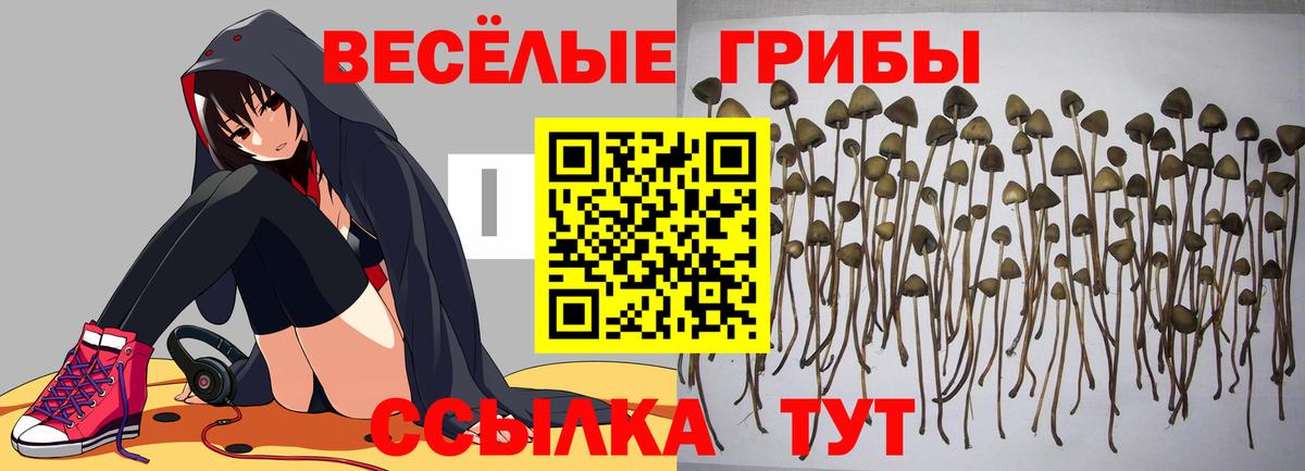 Галлюциногенные грибы Magic Shrooms Арзамас